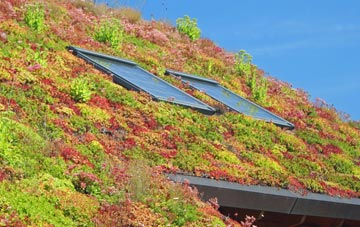 Girvan living roof systems